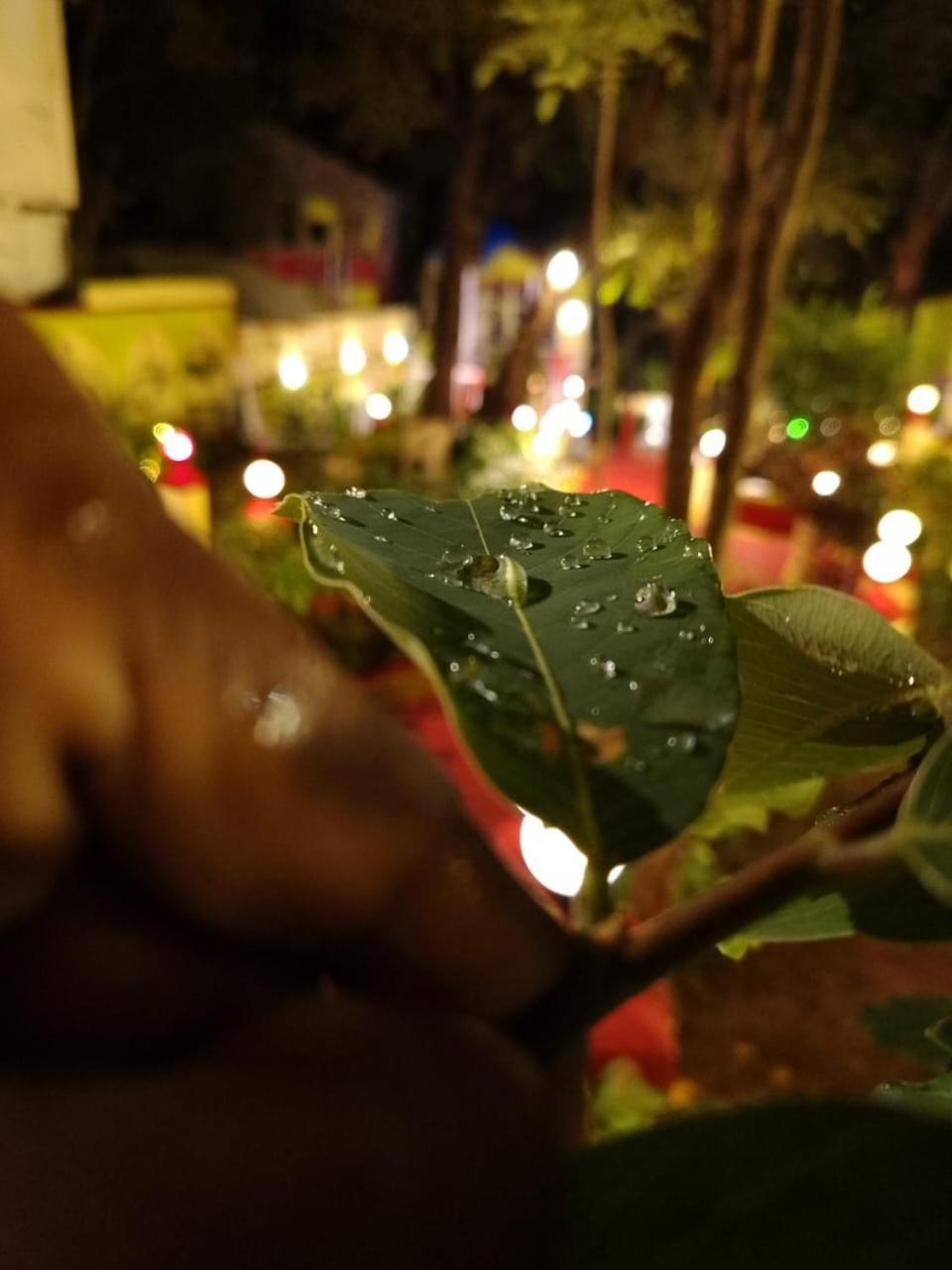New Green Hill ماتيرن المظهر الخارجي الصورة